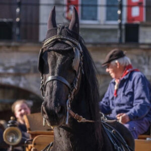Verhalen van de kaasmarkt