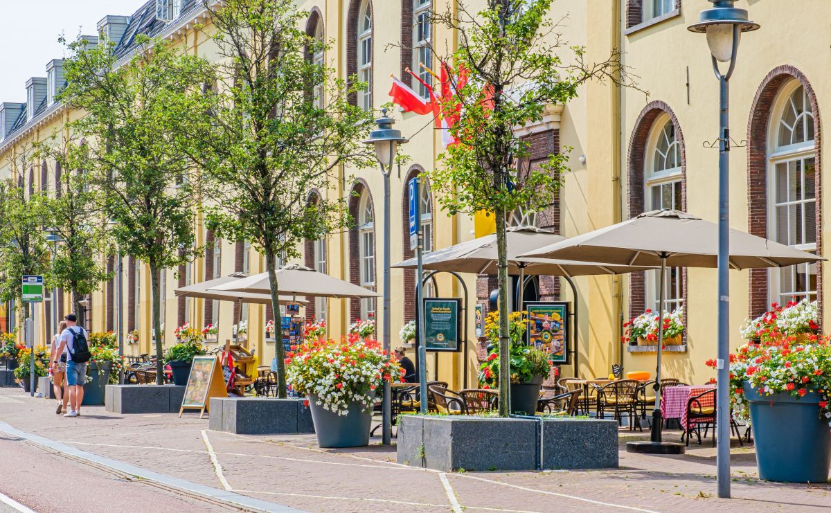 Bekijk deze afbeelding van deze dienst Gouda Cheese Experience op Goudse Kaasmarkt